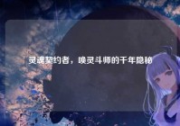 灵魂契约者，唤灵斗师的千年隐秘