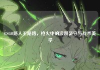 CSGO路人王路路，枪火中的浪漫坚守与战术美学