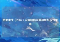 绝地求生（PUBG）闪退回档问题剖析与应对策略