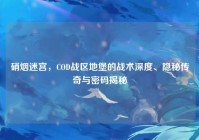 硝烟迷宫，COD战区地堡的战术深度、隐秘传奇与密码揭秘