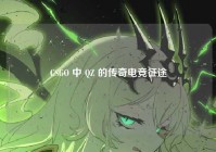 CSGO 中 QZ 的传奇电竞征途