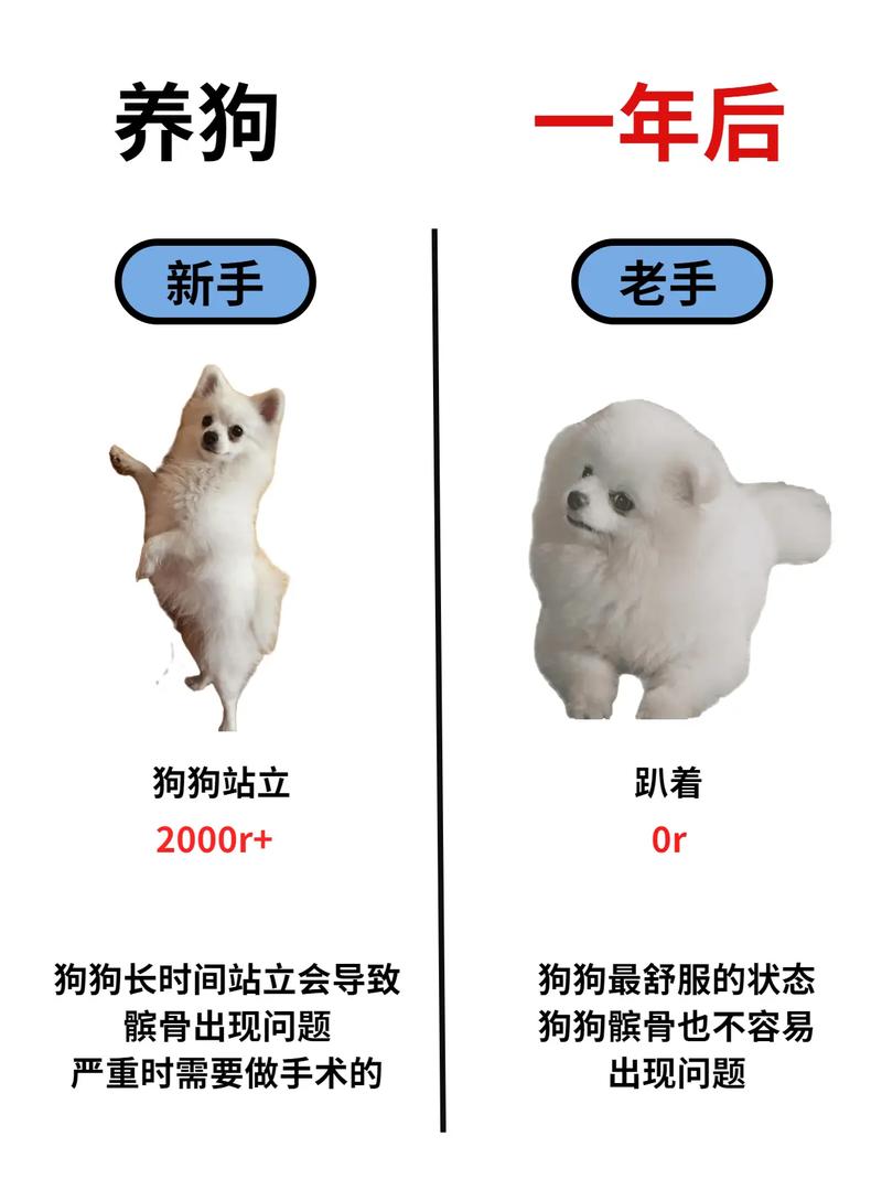 骨头镇秘籍大全有哪些？新手老手必看攻略！