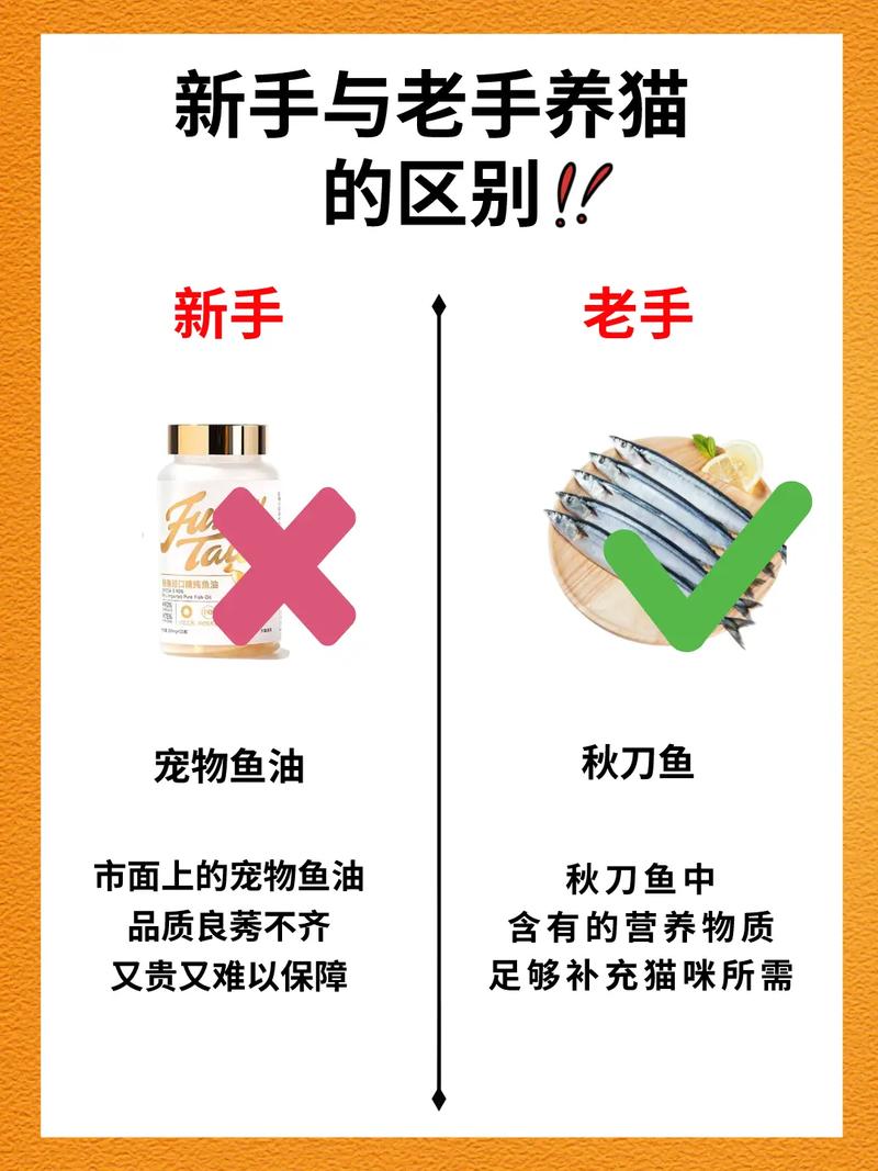 骨头镇秘籍大全有哪些？新手老手必看攻略！
