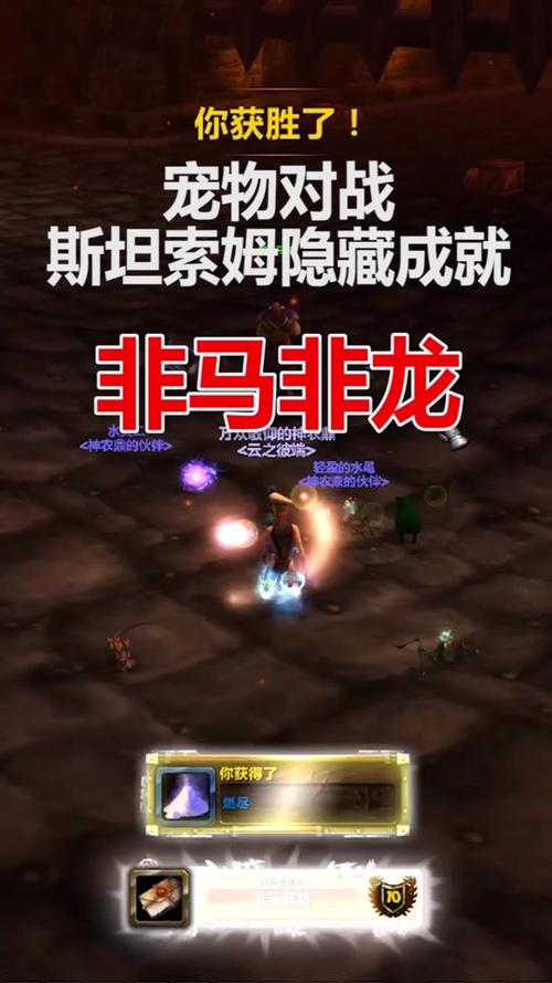 魔兽世界斯坦索姆攻略:老玩家分享速刷路线和技巧