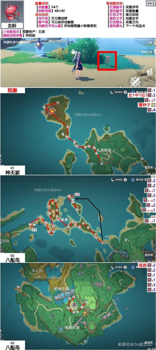 原神天云草实采集位置及路线攻略