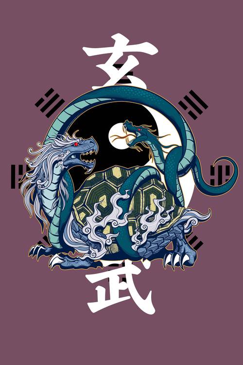 邪恶玄武捕捉概率大揭秘,让你轻松捕获神兽!