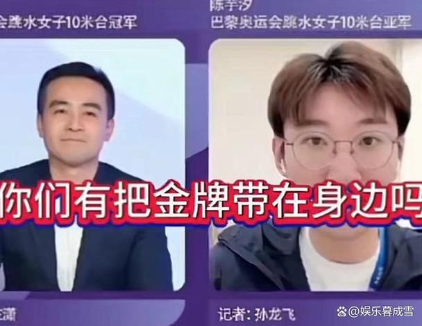 深入揭秘警中警第二部：跌宕打黑剧情，引人入胜的警察故事