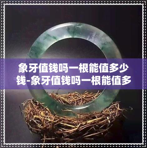 象牙有什么用?多重用途与珍贵价值解析