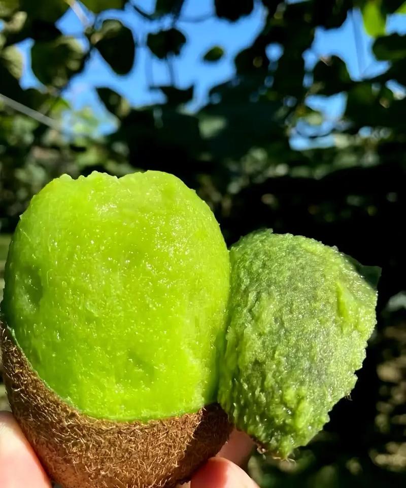 蜜风果园的水果怎么样?产地、口感全面测评!