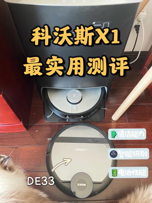 硕思闪客精灵绿色版好用吗？老用户分享真实体验！