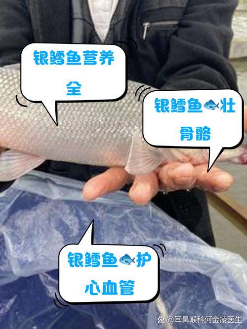 石鳞鳕鱼的营养价值高吗？看完你就知道了！