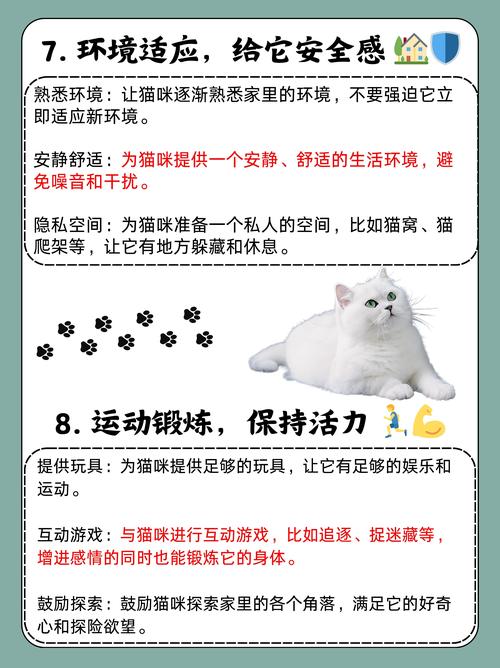 猫咪破永久vip哪里能找到?分享几个靠谱途径!