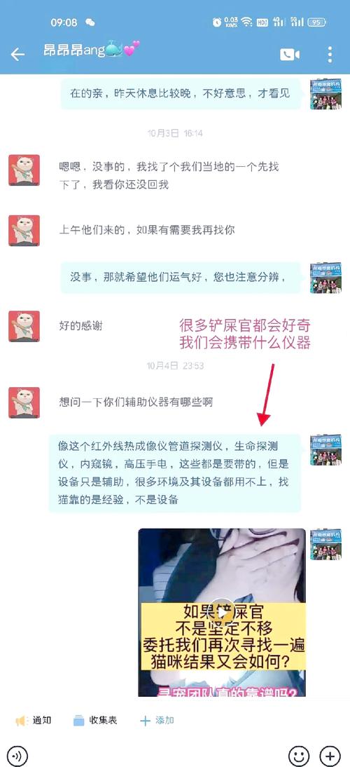 猫咪破永久vip哪里能找到?分享几个靠谱途径!