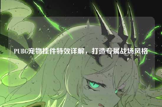 PUBG宠物挂件特效详解，打造专属战场风格