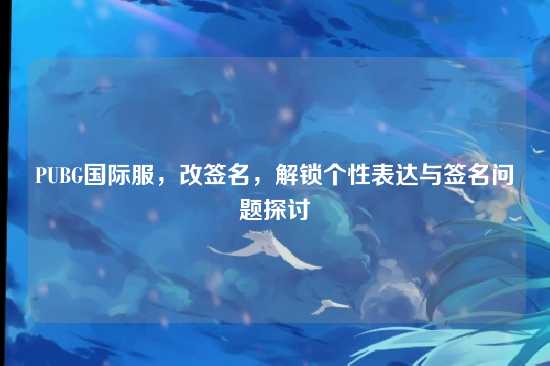 PUBG国际服，改签名，解锁个性表达与签名问题探讨