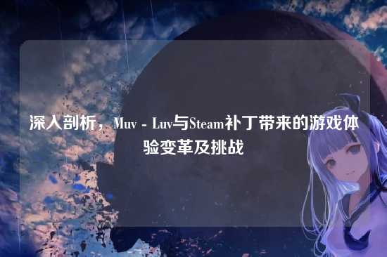 深入剖析,Muv - Luv与Steam补丁带来的游戏体验变革及挑战