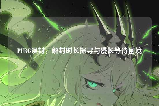 PUBG误封,解封时长探寻与漫长等待困境