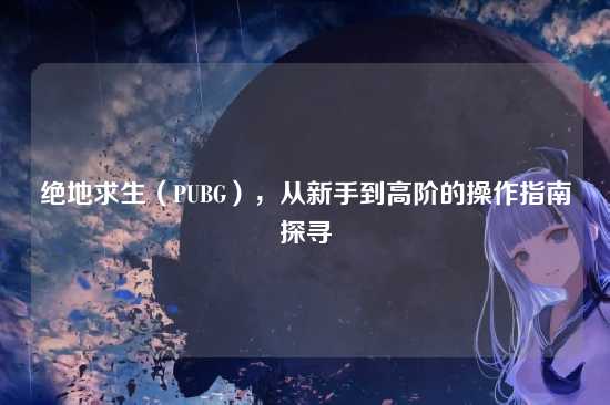 绝地求生（PUBG），从新手到高阶的操作指南探寻