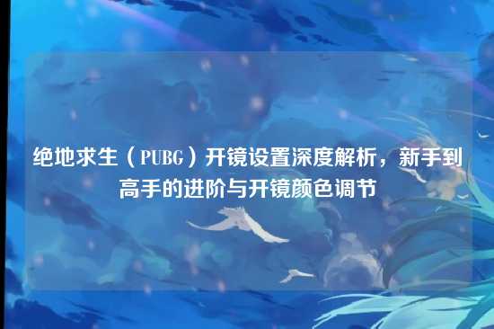 绝地求生（PUBG）开镜设置深度解析，新手到高手的进阶与开镜颜色调节