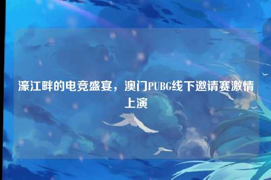 濠江畔的电竞盛宴,澳门PUBG线下邀请赛激情上演
