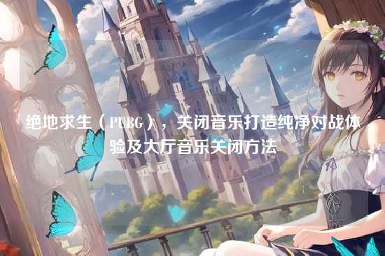 绝地求生（PUBG），关闭音乐打造纯净对战体验及大厅音乐关闭方法