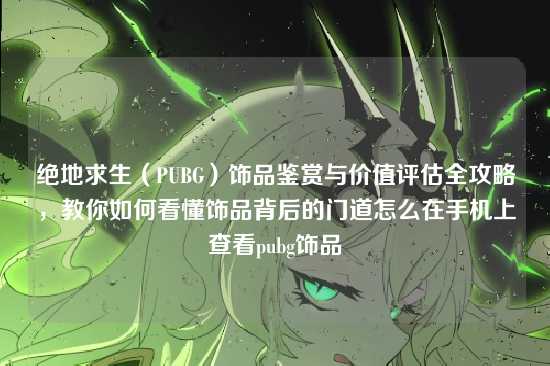 绝地求生（PUBG）饰品鉴赏与价值评估全攻略，教你如何看懂饰品背后的门道怎么在手机上查看pubg饰品
