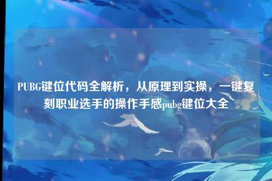 PUBG键位代码全解析,从原理到实操,一键复刻职业选手的操作手感pubg键位大全