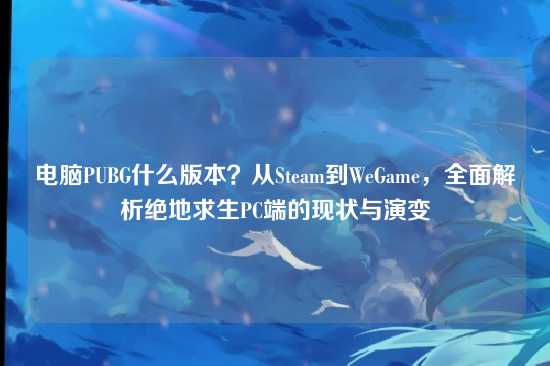 电脑PUBG什么版本？从Steam到WeGame，全面解析绝地求生PC端的现状与演变