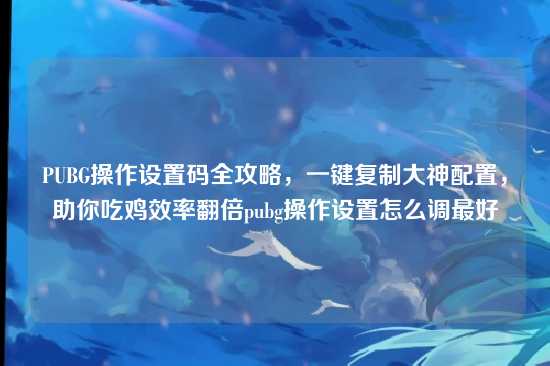 PUBG操作设置码全攻略，一键复制大神配置，助你吃鸡效率翻倍pubg操作设置怎么调最好