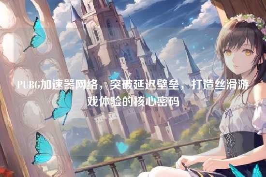 PUBG加速器网络，突破延迟壁垒，打造丝滑游戏体验的核心密码