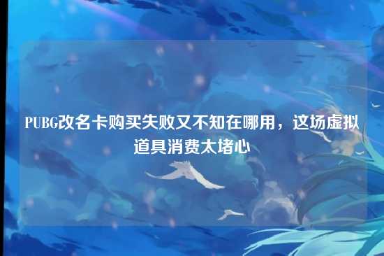 PUBG改名卡购买失败又不知在哪用，这场虚拟道具消费太堵心