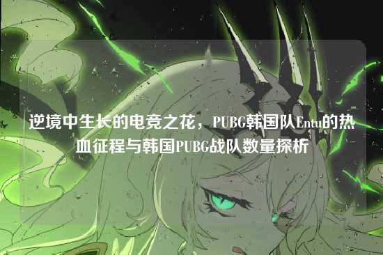 逆境中生长的电竞之花，PUBG韩国队Entu的热血征程与韩国PUBG战队数量探析
