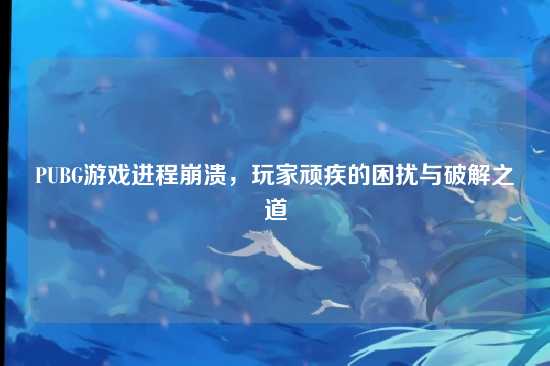 PUBG游戏进程崩溃，玩家顽疾的困扰与破解之道