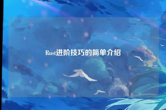 Rust进阶技巧的简单介绍
